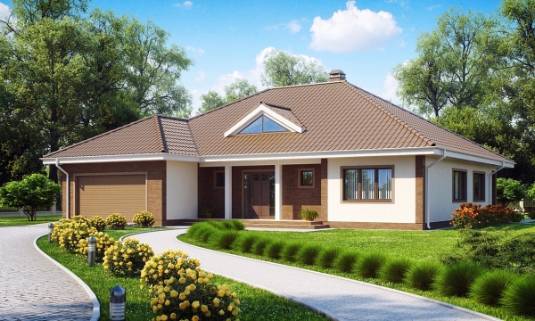 Одноэтажный дом с просторным гаражом